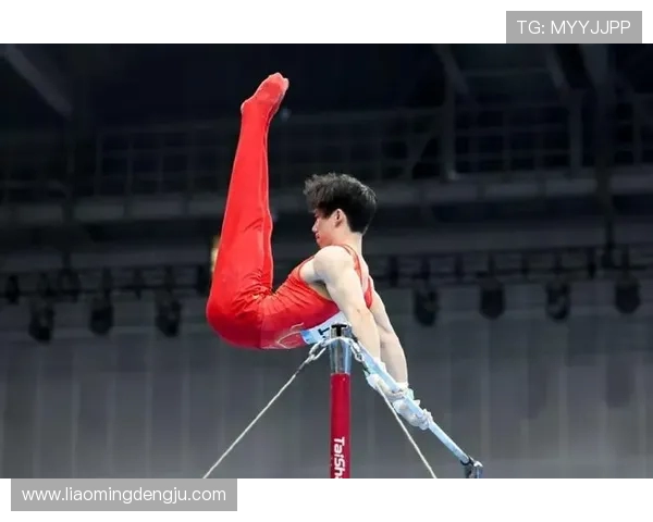 张博恒谈对体操梦想的执着力